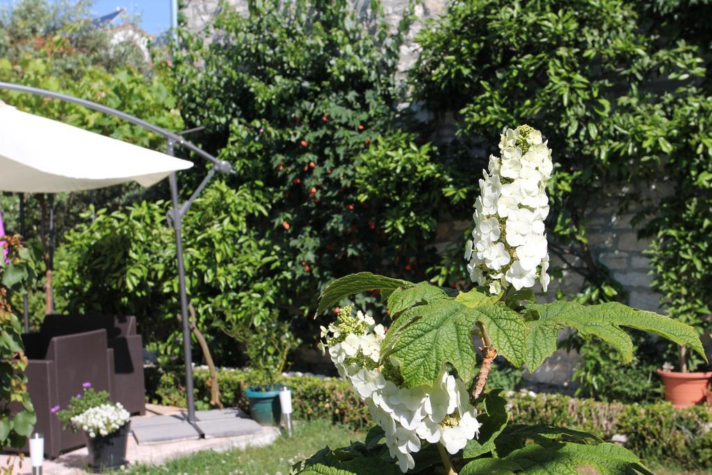 B&B Damian Rovinj Exterior photo